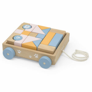 Pull Along Blocks Wagon-- PolarB- Viga