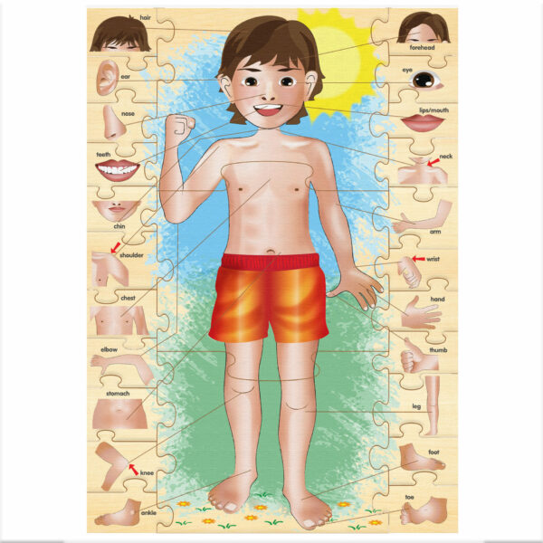 My Body - Image 2