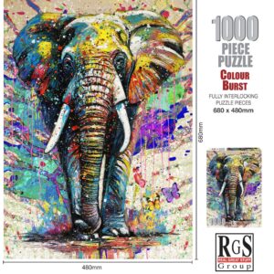 Colour Burst 1000pc Jigsaw Puzzle
