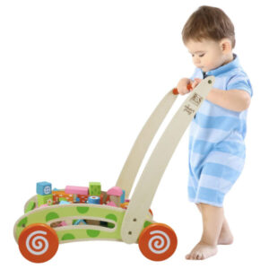 Walker- Blocks in Cart